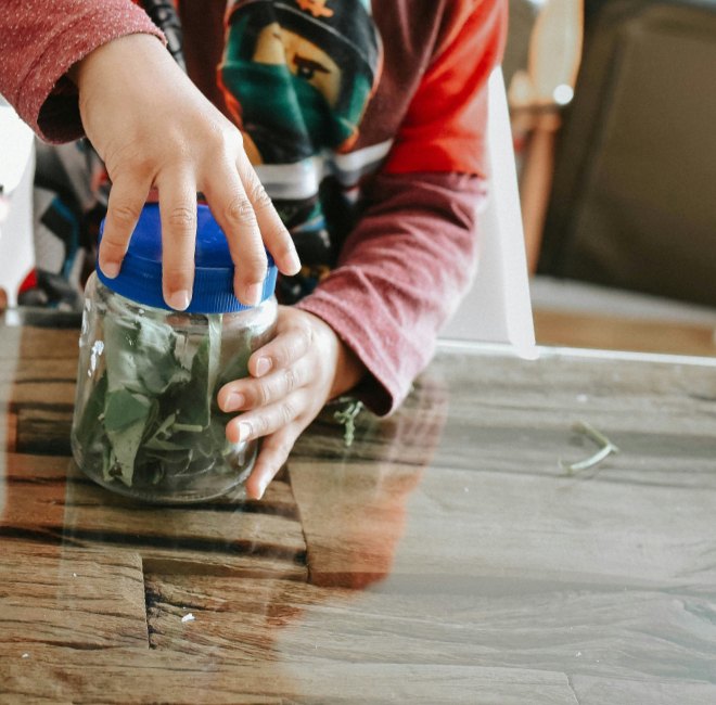 A young child's hands examining a glass jar packed with fresh green herbs on a wooden table
